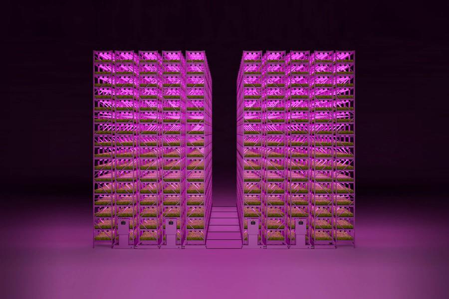 ESTANTERÍA DE CRECIMIENTO VERTICAL PARA HOJAS VERDES O MICROVERDES