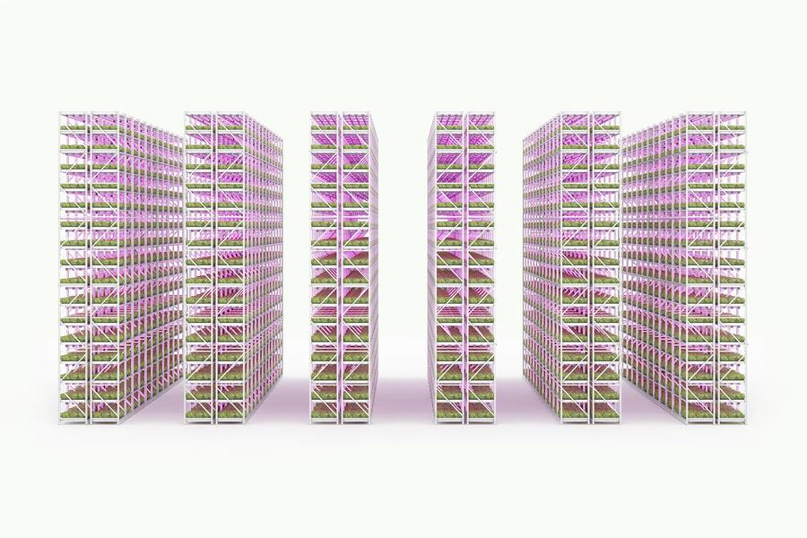 ESTANTERÍA DE CRECIMIENTO VERTICAL PARA HOJAS VERDES O MICROVERDES