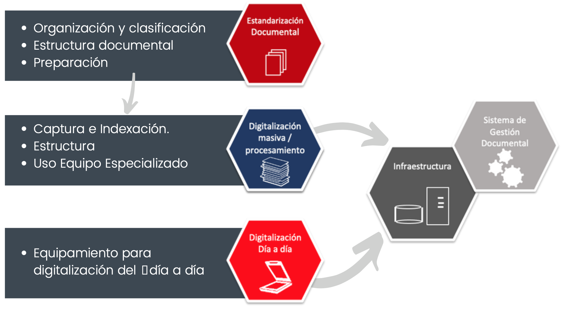 almacenamiento / Gestión Digital